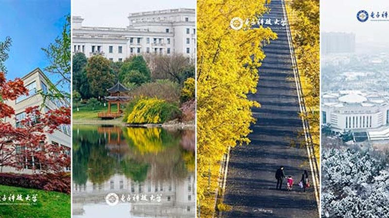电子科技公司代理加盟，你需要了解这些关键点**