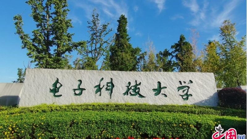 电子配件尺寸参数表：采购前的关键考量**